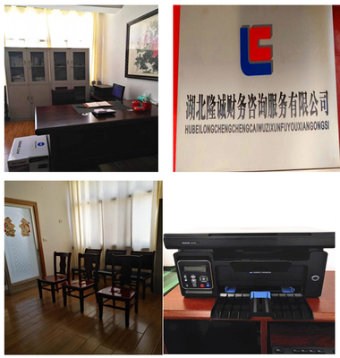 湖北隆誠財務(wù)咨詢服務(wù) 專業(yè)賦能，助力企業(yè)穩(wěn)健發(fā)展